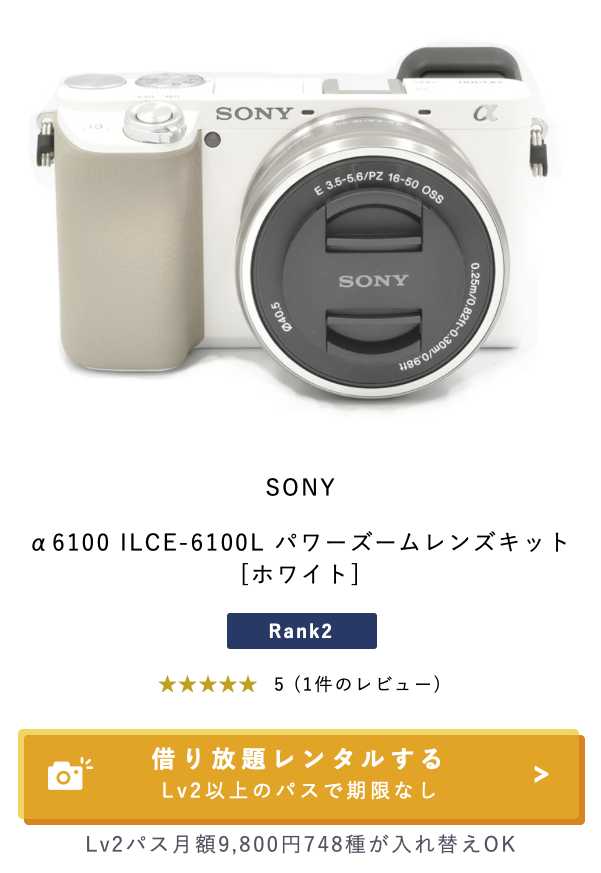 SONY a6100 本体＋Eマウント単焦点レンズ＋ストロボ