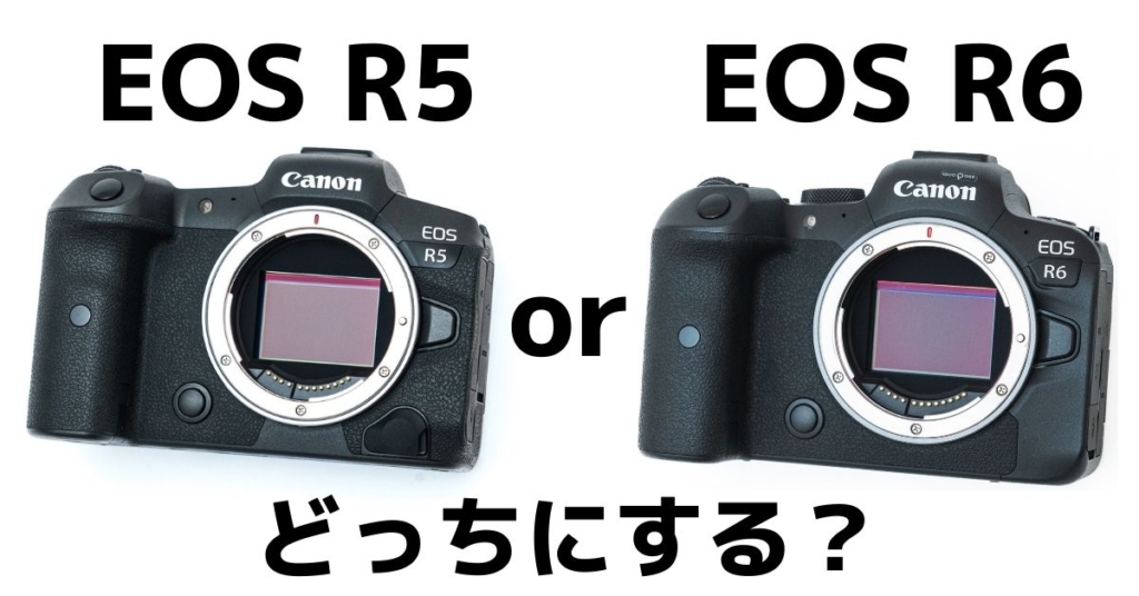 EOS R5かR6、どっちにする？一眼レフからミラーレスカメラへの乗り換え|GooPassでレンタルして1ヶ月間使ってみた